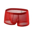 thumbnail image 1 of Men's Lingerie Men Hollow Mesh Briefs Breathable See Through Fishnet Underwear Lightweight Sexy Mens Thong Underwear, 1 of 4