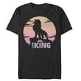 thumbnail image 1 of Men's Lion King Sunset Pride Rock Pose  Graphic Tee Black Small, 1 of 4
