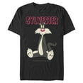 thumbnail image 1 of Men's Looney Tunes Sylvester Sitting  Graphic T-Shirt, 1 of 5