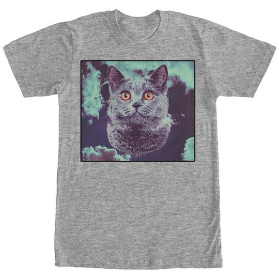 Men's Lost Gods Cat in the Clouds Graphic Tee Athletic Heather 2X Large