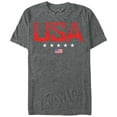 thumbnail image 1 of Men's Lost Gods Fourth of July  USA Stripe Design  Graphic Tee Charcoal Heather X Large, 1 of 4