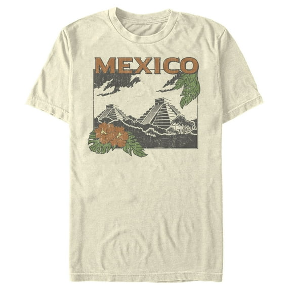 Men's Lost Gods Mexico Pyramid Scene Graphic Tee Beige X Large