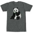 thumbnail image 1 of Men's Lost Gods Panda Bear Graphic Tee Charcoal Heather X Large, 1 of 4