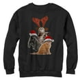 thumbnail image 1 of Men's Lost Gods Ugly Christmas Cats Sweatshirt Black Medium, 1 of 3