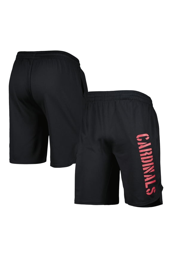 Men's MSX by Michael Strahan Black Arizona Cardinals Team Shorts