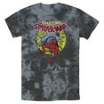 thumbnail image 1 of Men's Marvel Amazing Spider-Man Responsibility Graphic Tee Tie Dye 2X Large, 1 of 4