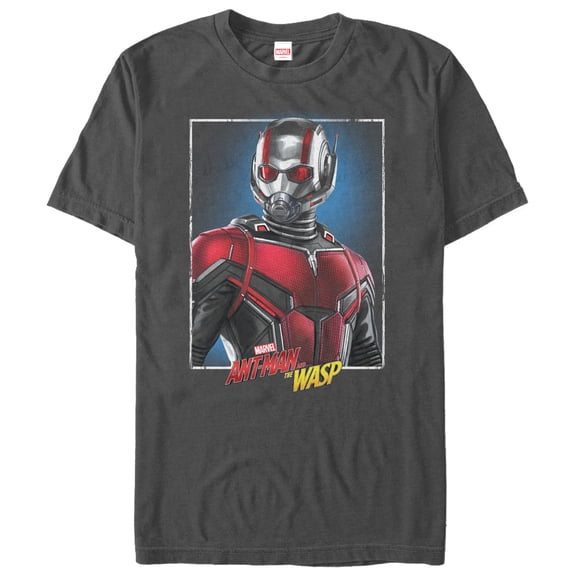 Men's Marvel Ant-Man and the Wasp Frame  Graphic Tee Charcoal X Large