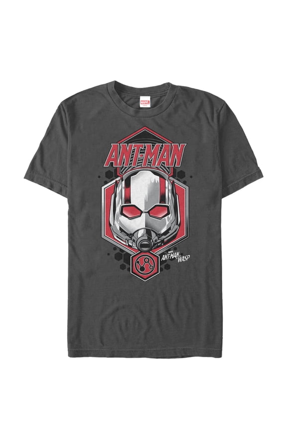 Men's Marvel Ant-Man and the Wasp Particles Graphic Tee Charcoal 2X Large