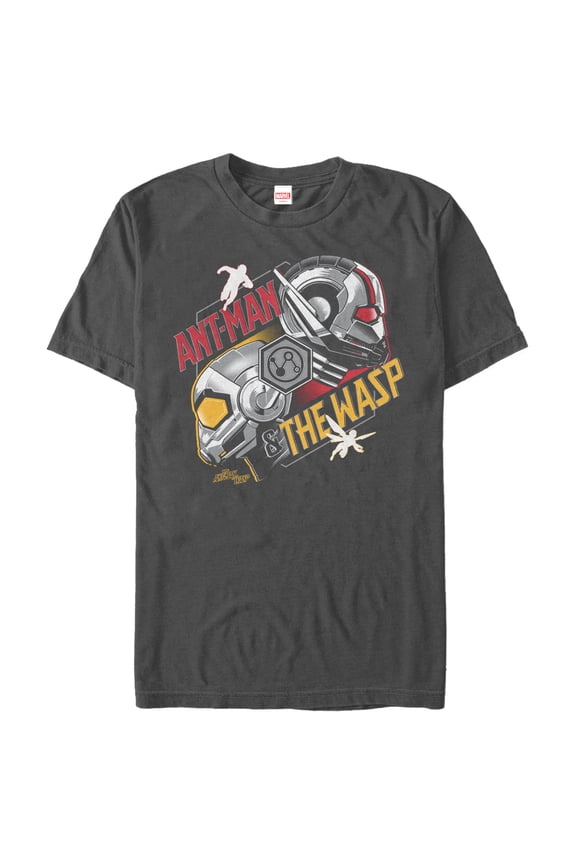 Men's Marvel Ant-Man and the Wasp Partner Profile Graphic Tee Charcoal 2X Large