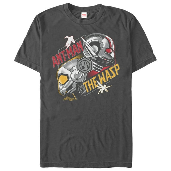 Men's Marvel Ant-Man and the Wasp Partner Profile Graphic Tee Charcoal X Large