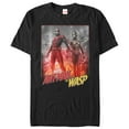 thumbnail image 1 of Men's Marvel Ant-Man and the Wasp Partners  Graphic Tee Black Medium, 1 of 4