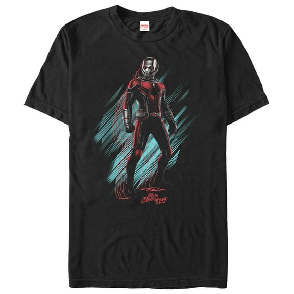 Men's Marvel Ant-Man and the Wasp Streaks  Graphic Tee Black 2X Large