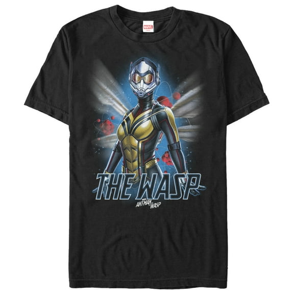 Men's Marvel Ant-Man and the Wasp Wings  Graphic Tee Black Large