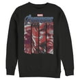 thumbnail image 1 of Men's Marvel Avengers: Endgame Hero Panels  Sweatshirt Black Medium, 1 of 3