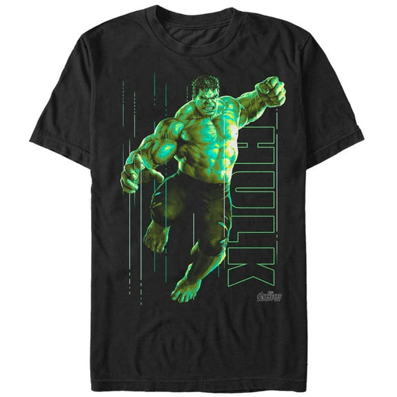 Men's Marvel Avengers: Infinity War Hulk Portrait  Graphic Tee Black Medium