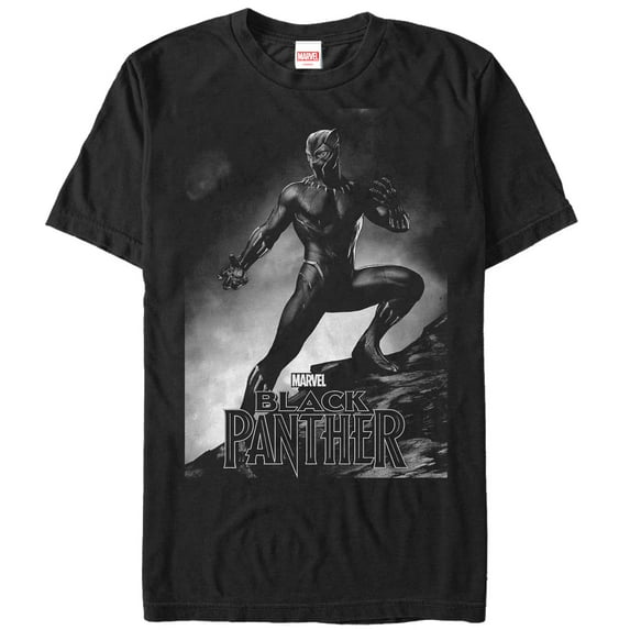 Men's Marvel Black Panther 2018 Grayscale Pose Graphic Tee Black 2X Large