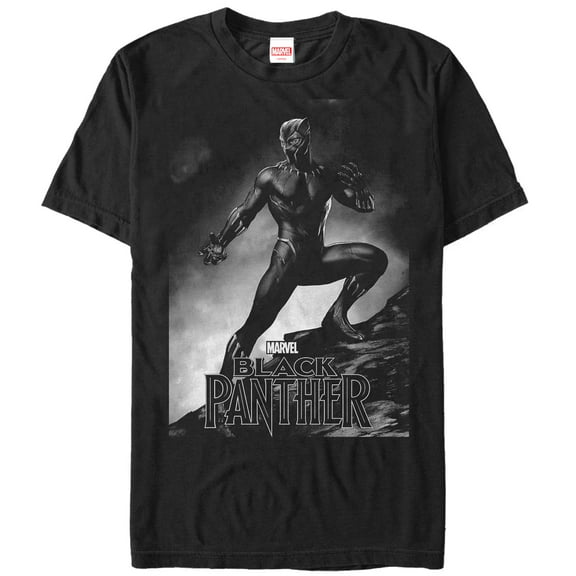 Men's Marvel Black Panther 2018 Grayscale Pose  Graphic Tee Black X Large