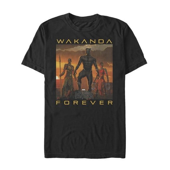Men's Marvel Black Panther 2018 Wakanda Forever  Graphic Tee Black Small