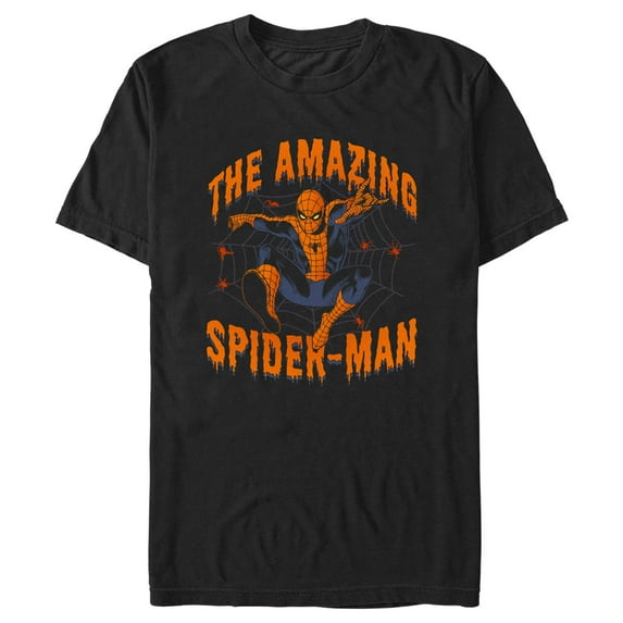 Men's Marvel Halloween The Amazing Spider-Man Web Graphic Tee Black Medium