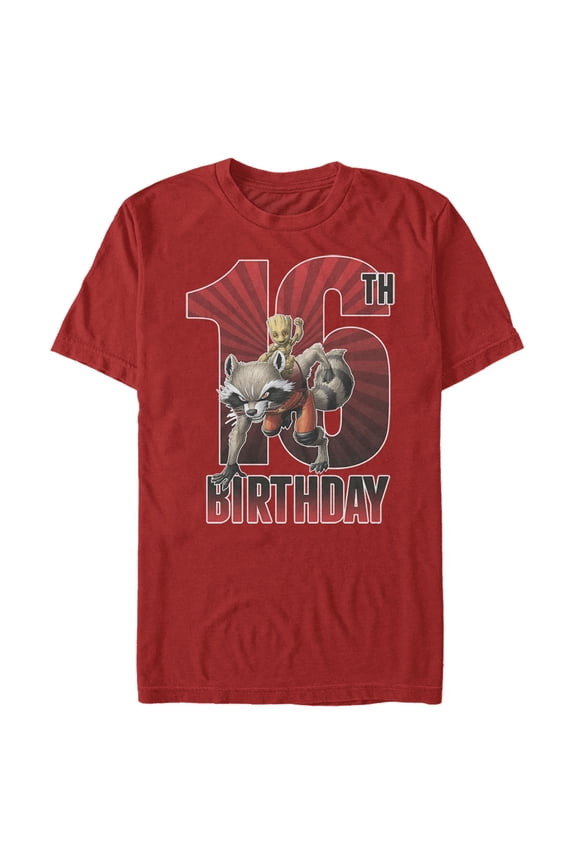 Men's Marvel Rocket and Baby Groot 16th Birthday  Graphic Tee Red Medium