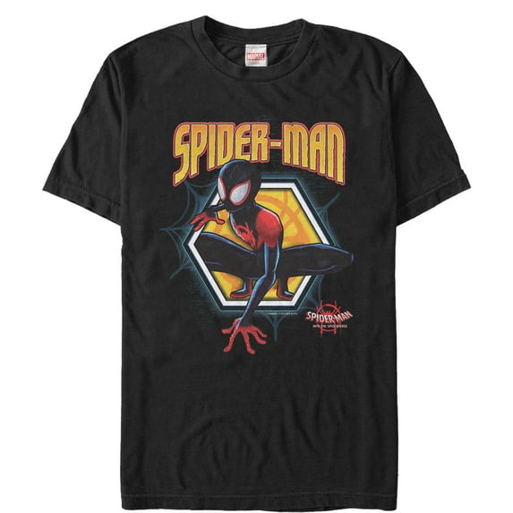 Men's Marvel Spider-Man: Into the Spider-Verse Hexagon Graphic Tee Black 2X Large
