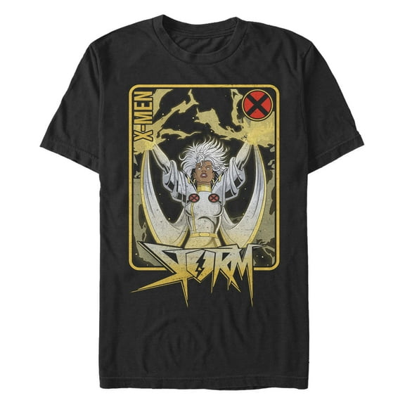 Men's Marvel Storm Pose Frame  Graphic T-Shirt