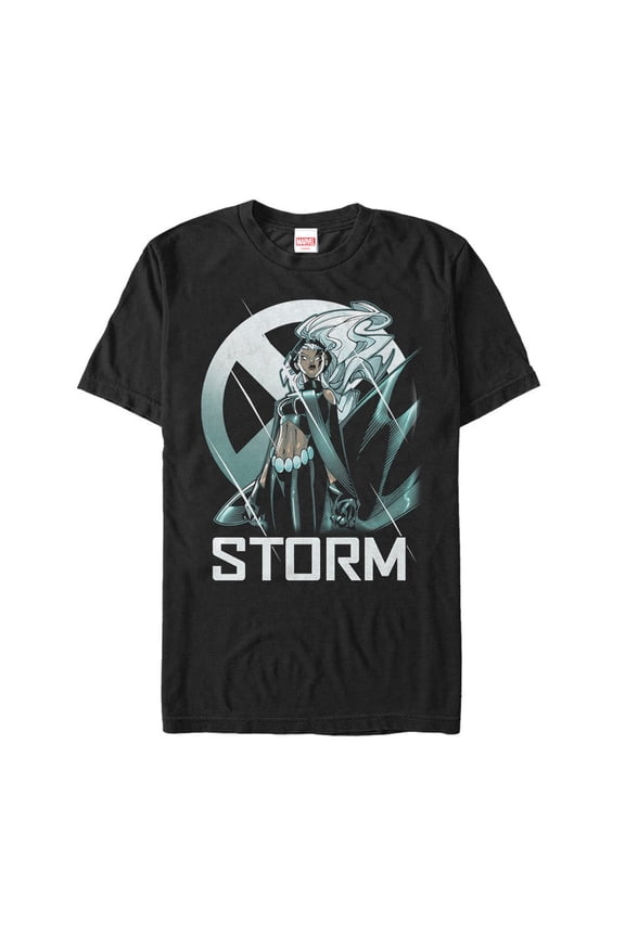 Men's Marvel X-Men Storm Logo Graphic Tee Black 4X Large