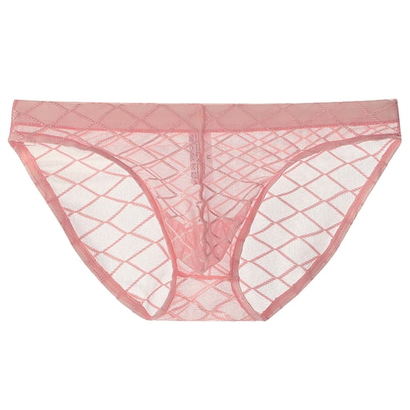 Men's Mesh Sheer Briefs Solid Color Transparent Lightweight Elastic Waist Underpants Exotic Apparel