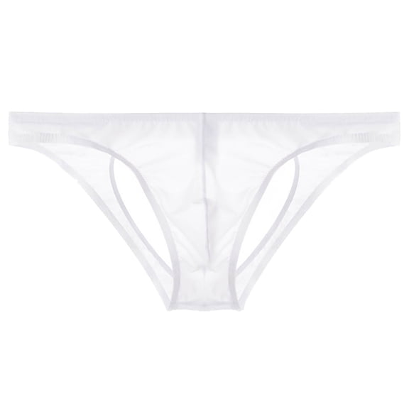 Men's Mesh Sheer Briefs Solid Color Transparent Lightweight Elastic Waist Underpants Exotic Apparel