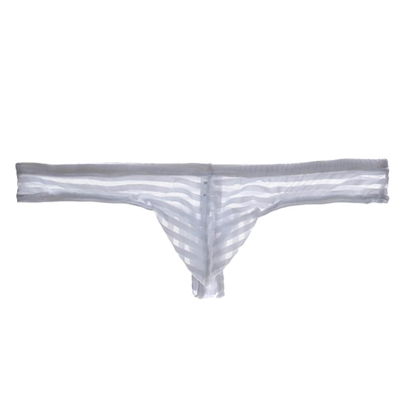 Men's Mesh Sheer Briefs Solid Color Transparent Lightweight Elastic Waist Underpants Exotic Apparel