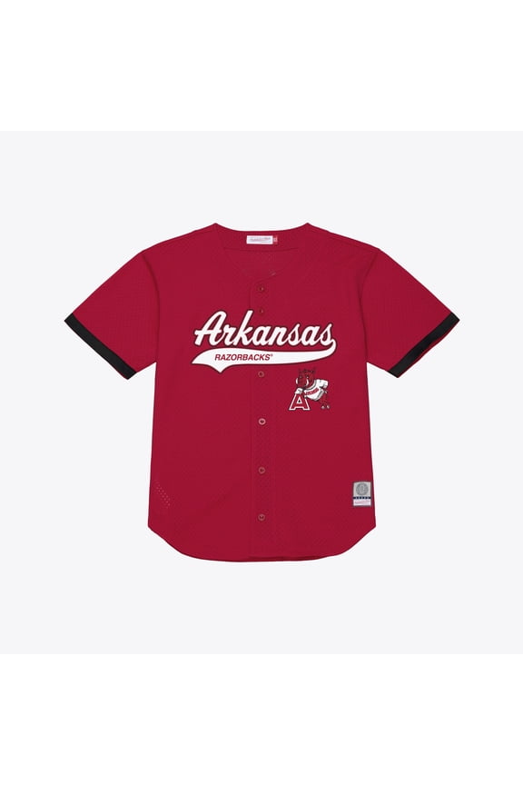 Men's Mitchell & Ness  Cardinal Arkansas Razorbacks Mesh Button-Up Batting Practice Baseball Jersey