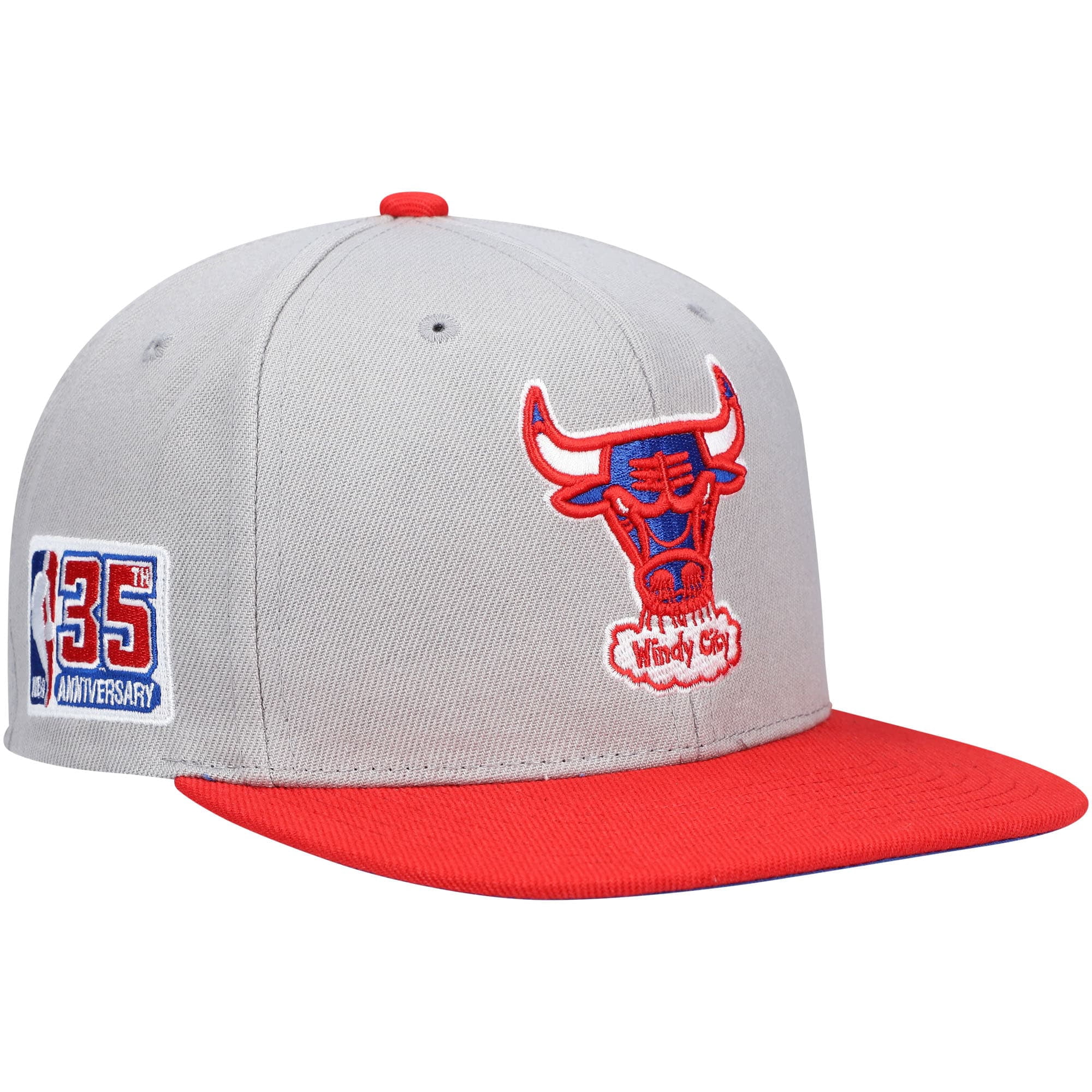 Vintage New Era Chicago Bulls Hardwood ClassicS Cap Hat