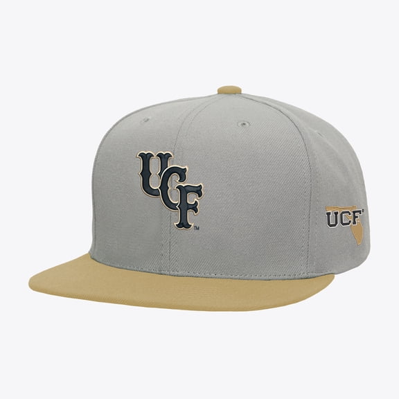 Men's Mitchell & Ness Gray/Gold UCF Knights Plaid OG Snapback Hat