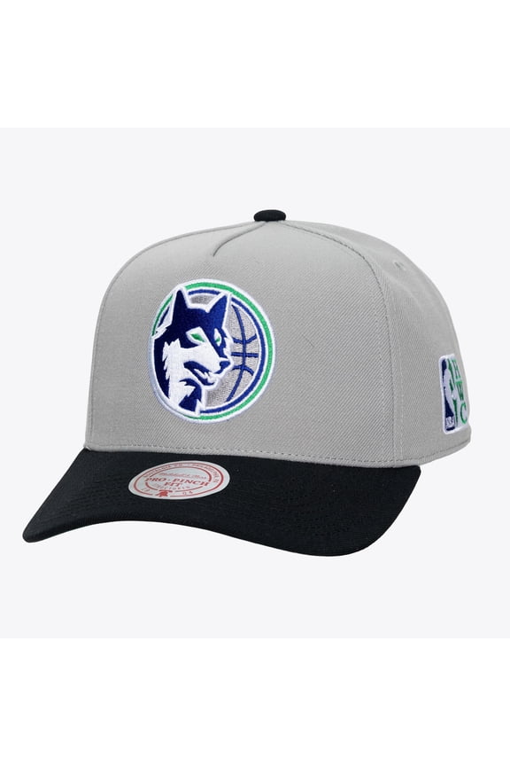 Men's Mitchell & Ness Gray Minnesota Timberwolves Legendary Home Pro Pinch Snapback Hat