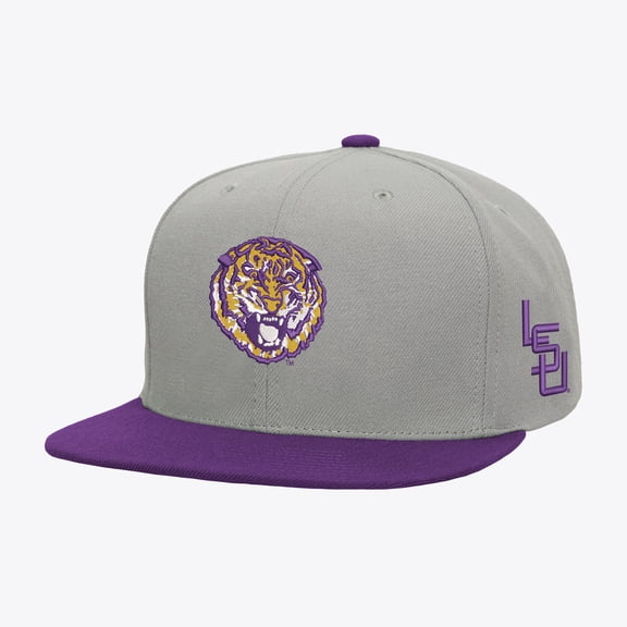 Men's Mitchell & Ness Gray/Purple LSU Tigers Plaid OG Snapback Hat