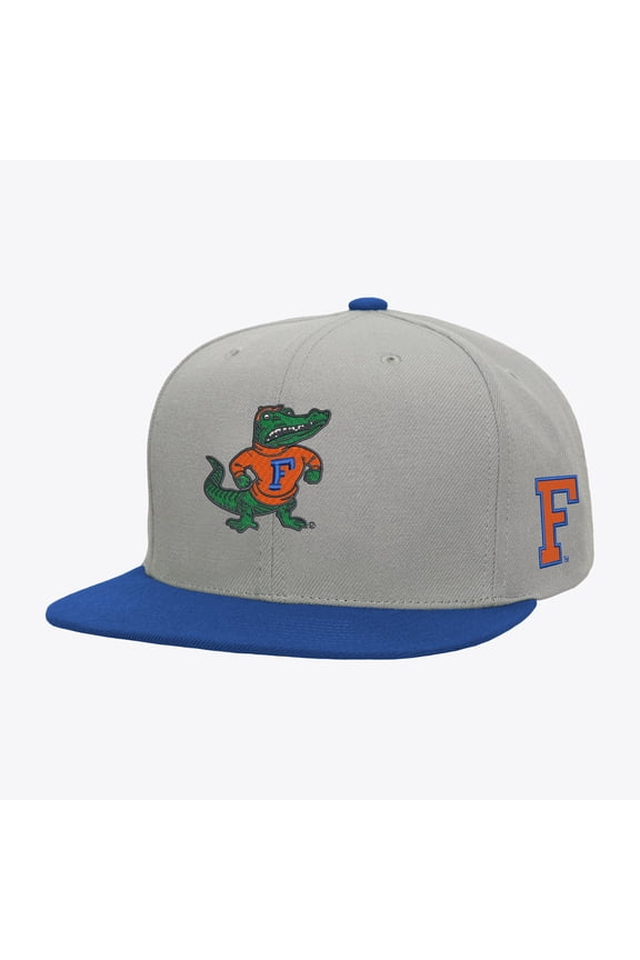 Men's Mitchell & Ness Gray/Royal Florida Gators Plaid OG Snapback Hat