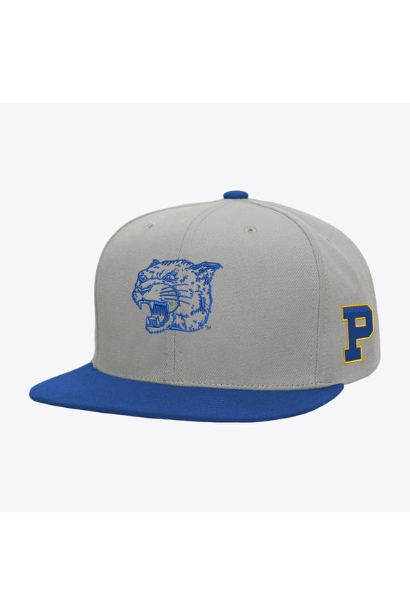 Men's Mitchell & Ness Gray/Royal Pitt Panthers Plaid OG Snapback Hat