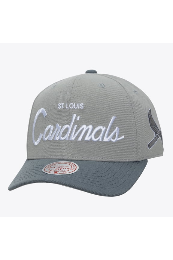 Men's Mitchell & Ness  Gray St. Louis Cardinals Thunderstorm Head Coach Pro-Crown Adjustable Hat