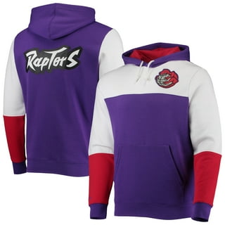 Toronto raptors men's mitchell top and ness dino hoodie