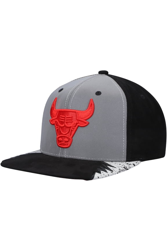 Men's Mitchell & Ness Silver/Gray Chicago Bulls Day 5 Snapback Hat