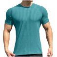 thumbnail image 1 of Men's Muscle T-Shirt Stretch Short Sleeve Bodybuilding Sports Casual Slim Fit T-Shirt, 1 of 6
