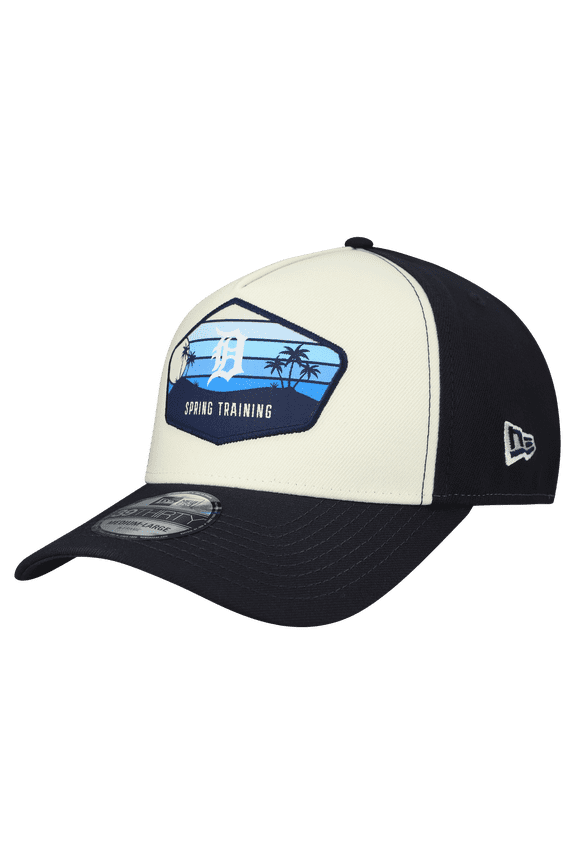 Men's New Era Stone Detroit Tigers 2026 Spring Training Fan Pack Gradient 39THIRTY Flex Hat
