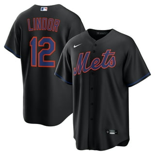 90s USA製 RUSSEL NY Mets ユニフォーム FRANCO 45 90s USA製 RUSSEL NY Mets ユニフォーム FRANCO 45 New York