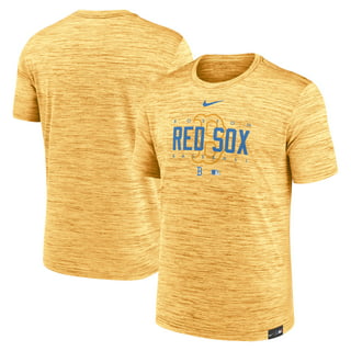 Nike MLB Boston Red Sox City Connect (David Ortiz) Men's Replica Baseball Jersey - Gold/Light Blue S