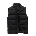 thumbnail image 1 of Men's Outerwear Puffer Vest Winter Casual Stand Collar Quilted Waistcoat Outdoor Warm Padded Ski Vest, 1 of 5