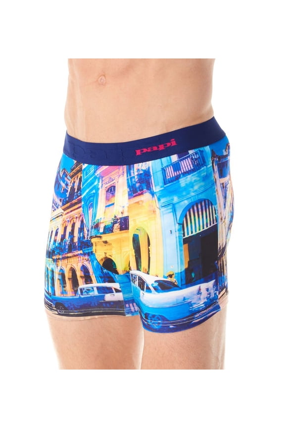 Men's Papi 626719 Digital Print Quick Dry Boxer Brief (Scenic Print 2 L)
