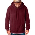 thumbnail image 1 of Men's Plus Size Casual Color Block Plush Sweatshirt Hoodie Loose Blouse Warm Coat Winter Top Blouse Slim Casual Solid Soft Top Coat Long Sleeve Hooded Sweatshirt Top Jacket, 1 of 7