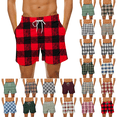thumbnail image 1 of Men's Plus Size Plaid Casual Shorts Elastic Waist Drawstring Quick Dry Beach Short Breathable Vacation Outdoor Summer Sports Board Shorts, 1 of 5