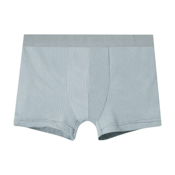 Men's Plus Size Underwear Boxer Briefs Ultra Soft Breathable Moisture-Wicking Viscose with Fly Pouch