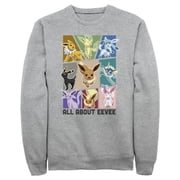 Mens Pokemon All About Eevee Eeveeloution Sweatshirt Athletic Heather 2X Large